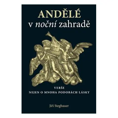 Andělé v noční zahradě (Jiří Stegbauer)