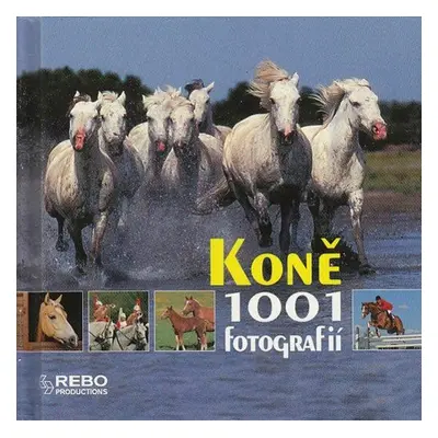 Koně - 1001 fotografií