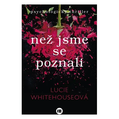 Než jsme se poznali (Lucie Whitehouseová)