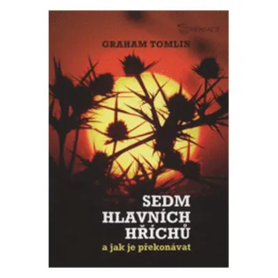 Sedm hlavních hříchů a jak je překonávat (Lechová, Martina )