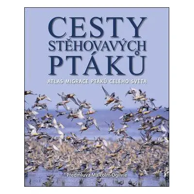 Cesty stěhovavých ptáků (Jonathan Elphick)