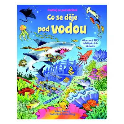 Co se děje pod vodou - Podívej se pod obrázek (Kate Davies)