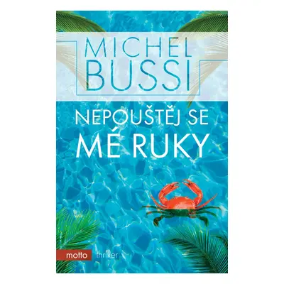 Nepouštěj se mé ruky (Michel Bussi)