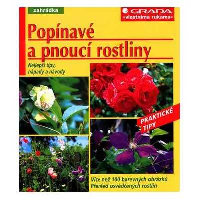 Popínavé a pnoucí rostliny (Peter Himmelhuber)