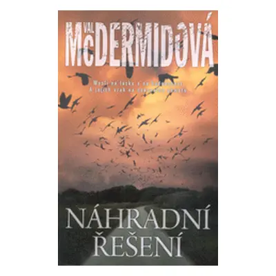 Náhradní řešení (Val McDermid)