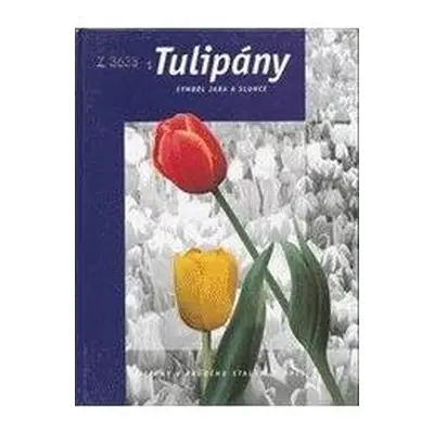 Tulipány (Arend Jan van der Horst)