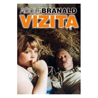 Vizita (Adolf Branald)