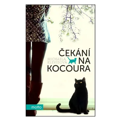 Čekání na kocoura (Michaela Klevisová)