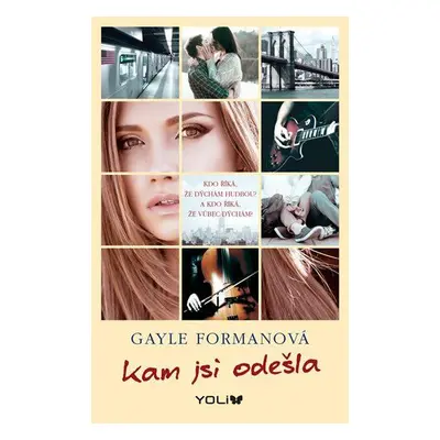 Kam jsi odešla (Gayle Formanová)