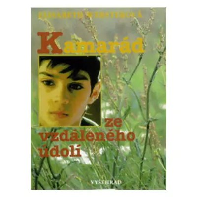 Kamarád ze vzdáleného údolí (Websterová, Elisabeth)