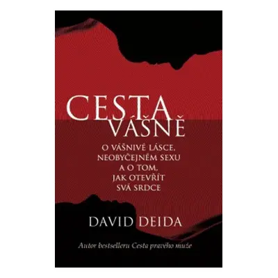 Cesta vášně (Deida David)