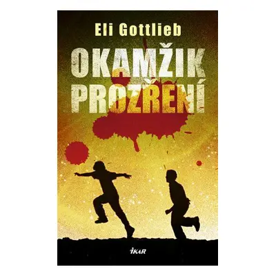 Okamžik prozření (Gottlieb Eli)