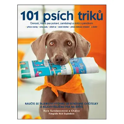 101 psích triků (Kyra Sundance)