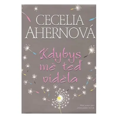 Kdybys mě teď viděla (Cecelia Ahern)