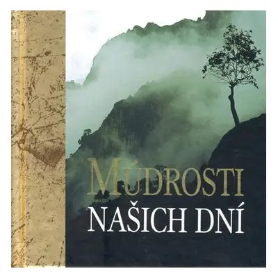 Múdrosti našich dní (Kolektív autorov) (slovensky)