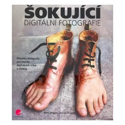 Šokující digitální fotografie (Barry Huggins)