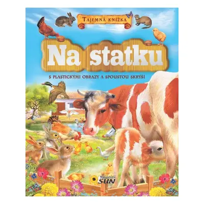 Na statku - Tajemná knížka (Francisca Valiente)