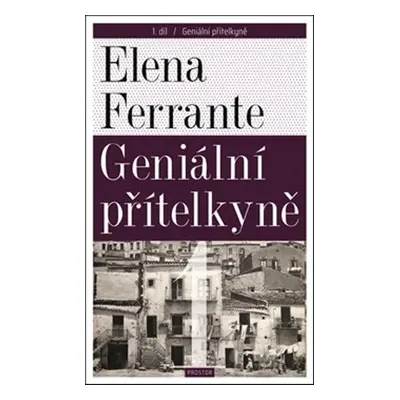 Geniální přítelkyně 1 (Elena Ferrante)