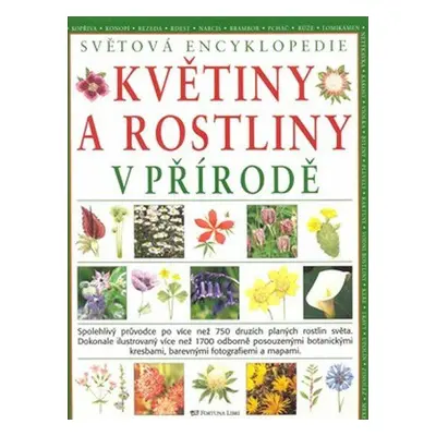 Květiny a rostliny v přírodě (Joanna Lorenz)