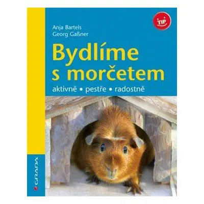 Bydlíme s morčetem (Georg Gassner)