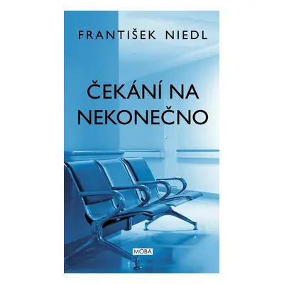 Čekání na nekonečno (František Niedl)