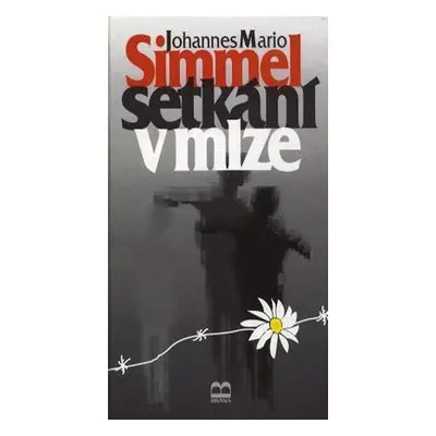 Setkání v mlze (Johannes Mario Simmel)