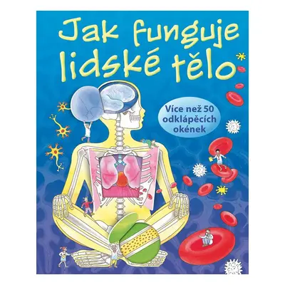 Jak funguje lidské tělo (Katie Daynes)