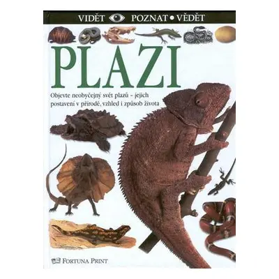 Plazi (Colin McCarthy)