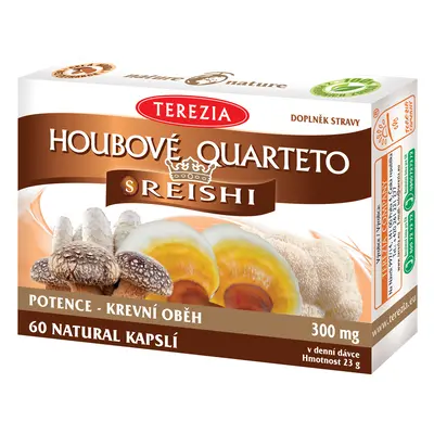 Houbové quarteto s reishi