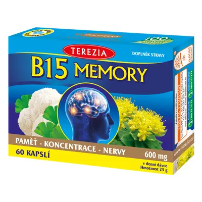 B15 MEMORY