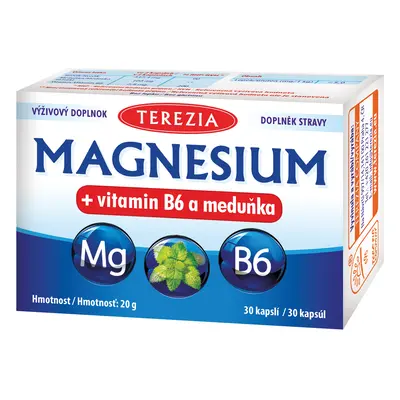 MAGNESIUM + vitamin B6 a meduňka