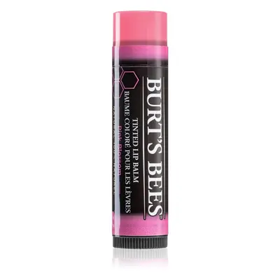 Burt’s Bees Tinted Lip Balm balzám na rty odstín Pink Blossom 4.25 g