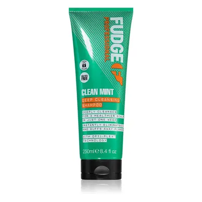 Fudge Clean Mint Shampoo šampon na mastné vlasy 250 ml