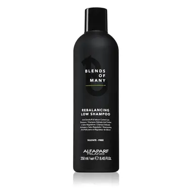 Alfaparf Milano Blends of Many Rebalancing šampon proti lupům 250 ml