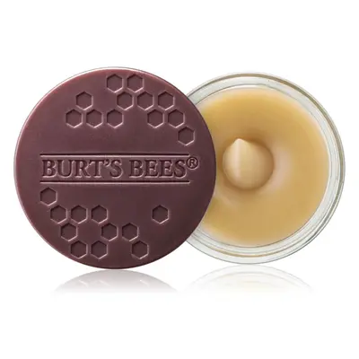 Burt’s Bees Lip Scrub peeling na rty s vyživujícím účinkem 7.08 g