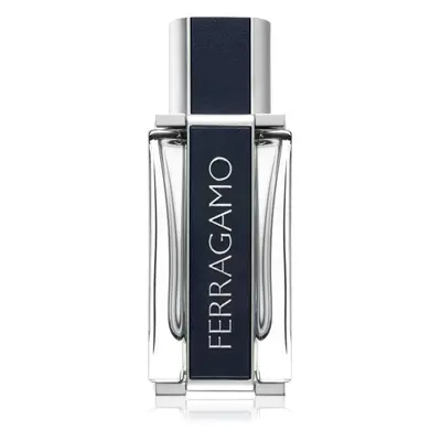 Ferragamo Ferragamo toaletní voda pro muže 50 ml