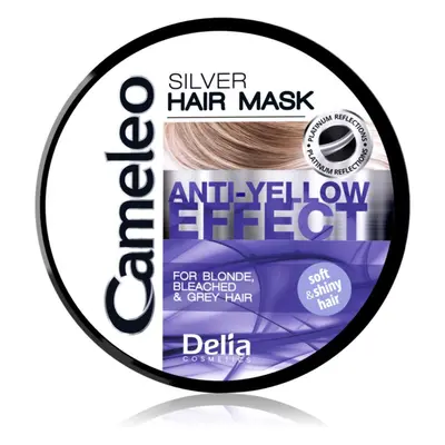 Delia Cosmetics Cameleo Silver maska na vlasy neutralizující žluté tóny 200 ml