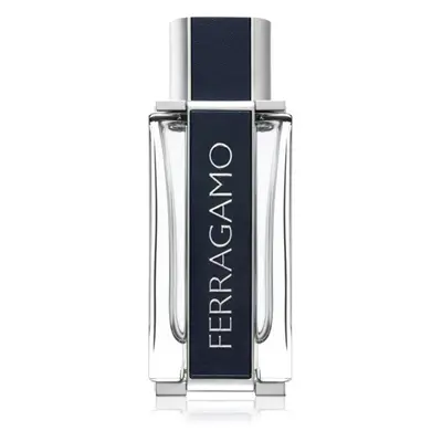 Ferragamo Ferragamo toaletní voda pro muže 100 ml