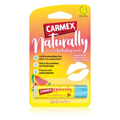 Carmex Watermelon hydratační balzám na rty v tyčince 4.25 g