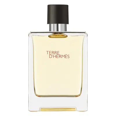 HERMÈS Terre d’Hermès toaletní voda pro muže 100 ml