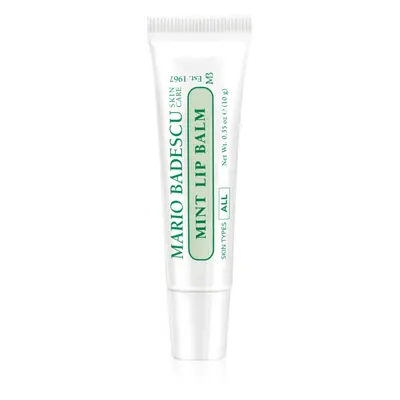 Mario Badescu Mint Lip Balm ultra výživný balzám na rty 10 g