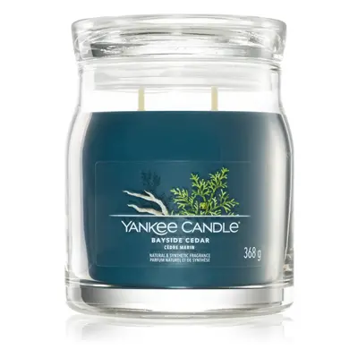 Yankee Candle Bayside Cedar vonná svíčka I. 368 g