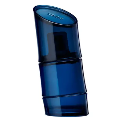 KENZO Homme Intense toaletní voda pro muže 40 ml