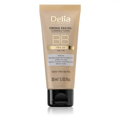 Delia Cosmetics BB tónovací krém na obličej SPF 30 odstín Light 30 ml