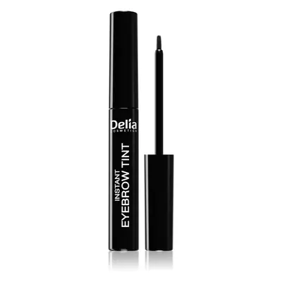 Delia Cosmetics Eyebrow Expert barva na obočí odstín 1.0 BLACK 6 ml