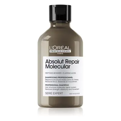 L’Oréal Professionnel Serie Expert Absolut Repair Molecular posilující šampon pro poškozené vlas