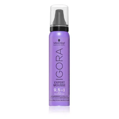 Schwarzkopf Professional IGORA Expert Mousse barvicí pěna na vlasy odstín 9,5-1 Pearl 100 ml