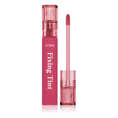 ETUDE Fixing Tint dlouhotrvající rtěnka s matným efektem odstín #11 Rose Blending 4 g