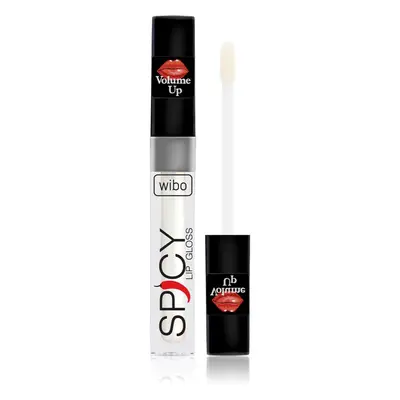 Wibo Lip Gloss Spicy lesk na rty pro větší objem 10 3 ml