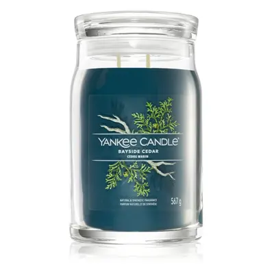 Yankee Candle Bayside Cedar vonná svíčka I. Signature 567 g